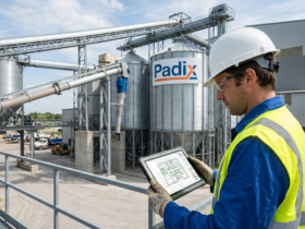 Perdas no transporte industrial: como reduzir desperdícios